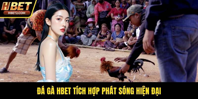 Đá gà HBET tích hợp phát sóng hiện đại