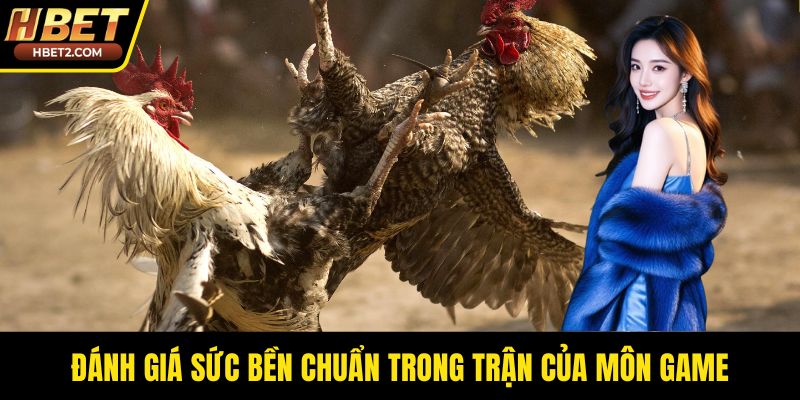 Đá Gà Đòn – Sức Hút Từ Những Trận Thư Hùng Bền Bỉ Đánh giá sức bền chuẩn trong trận của môn game
