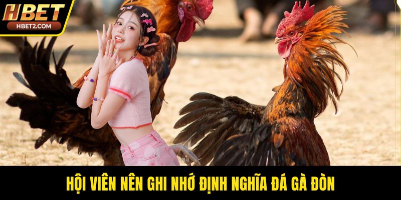 Đá Gà Đòn – Sức Hút Từ Những Trận Thư Hùng Bền Bỉ Hội viên nên ghi nhớ định nghĩa đá gà đòn
