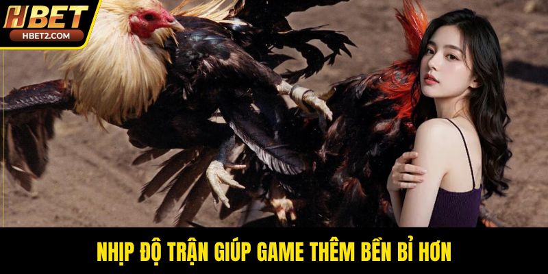 Đá Gà Đòn – Sức Hút Từ Những Trận Thư Hùng Bền Bỉ Nhịp độ trận giúp game thêm bền bỉ hơn