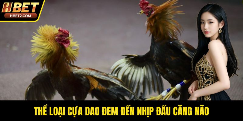 Đá Gà Thomo – Sức Hút Bền Bỉ Từ Đấu Trường Chuyên Nghiệp Thể loại cựa dao đem đến nhịp đấu căng não